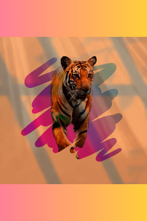 Item #73055580607999138594958846127305981446441350474328861882101252405193689006113 Media