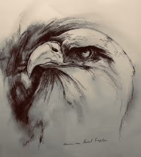 Untitled Collection #35870477