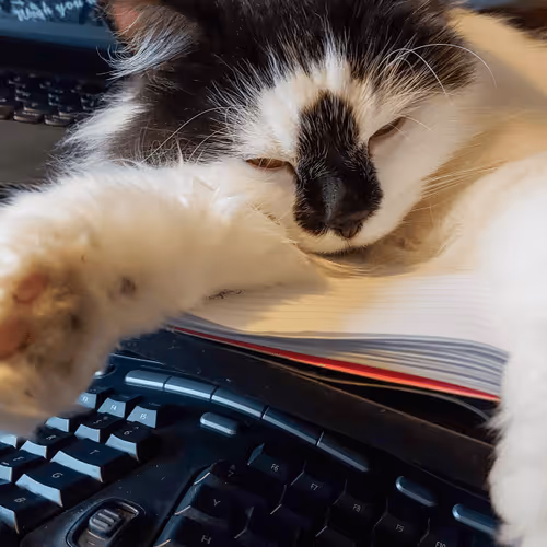 Item #13161020314009032005485822086301964352885579695205061807387255208065978335233 Media