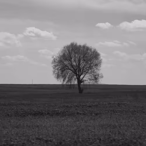 Item #107742627867956892364714120184147413803821811265510288122929724908136013234177 Media