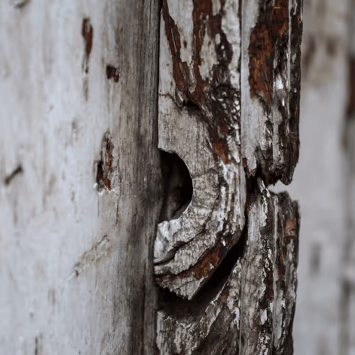 Item #76308435491983099504097783274789726916640920822154394897421291934380910968833 Media