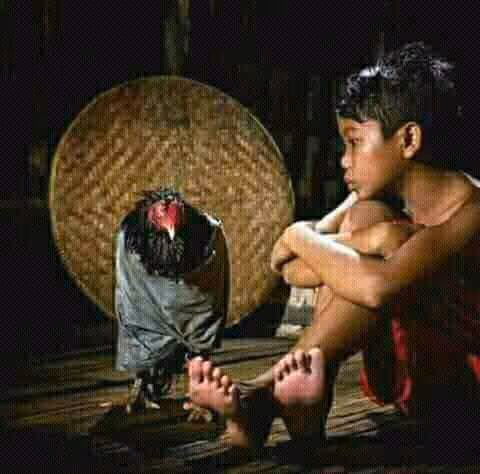 Untitled Collection #131339039