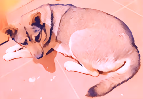 Item #74122138759525378795667626270866148487737655975912799548892276468352427229185 Media