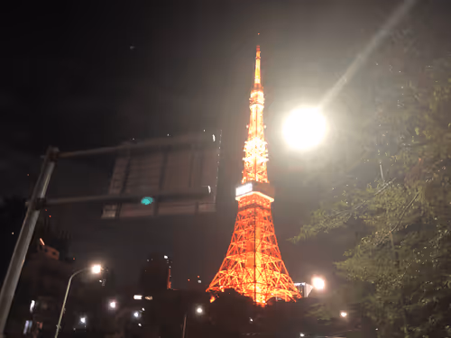 Untitled Collection #74645107