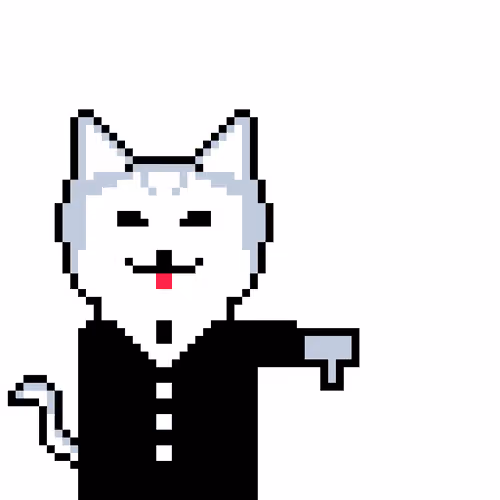 Suited Siberian Husky