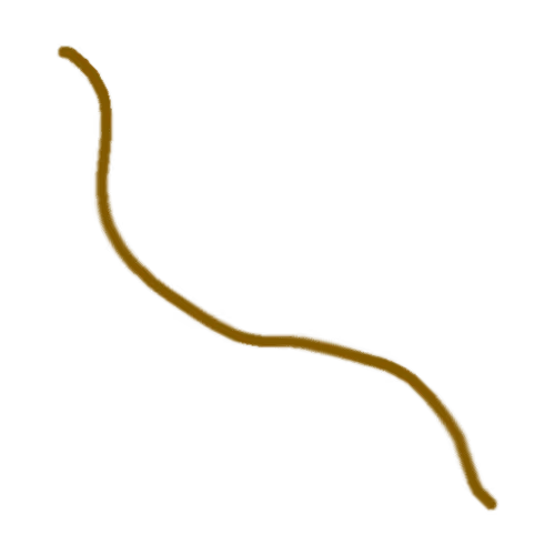 Item #20205123590063296895540447505244684998386059841524943892873659447411516375041 Media