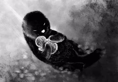 Item #85958577837238121956904946146282691386583578196809181446220191508577248083969 Media