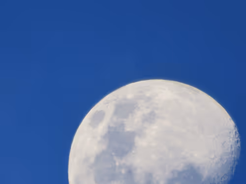 Item #78774018974347764357765192518377150739749637856503949941232678355601423597569 Media