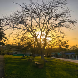 Belize - park sunset