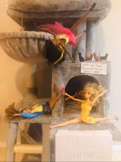 Pussy Funhouse
