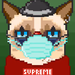 76858086254694396899925795249681536002186406883673212666891134555575474454529