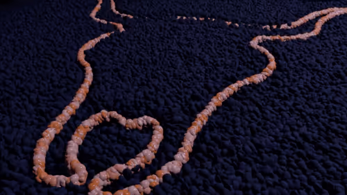 Item #36350066171751915763166281007467485449586398269626739187466691440769245380618 Media