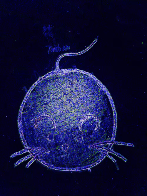 Item #80926432860847288351557924068159633664804178470775081465336394379372485187200 Media