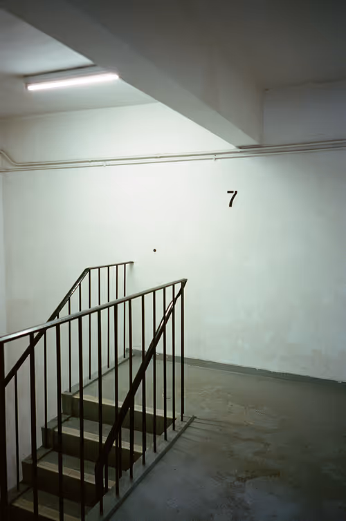 Item #25255888101002382068529850944543426464407705804600295961589146180757592473601 Media