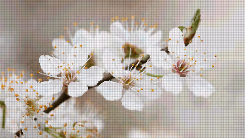 Item #75866091947728652238534111254584504918190435733442380629681527341654837559297 Media