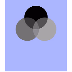 007 Anonymous