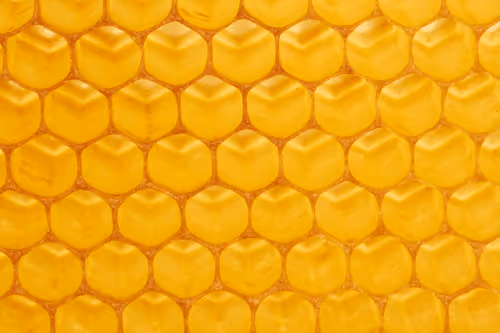 Item #47344123980109973813634142770242239438764360713225161879961011948370599608321 Media