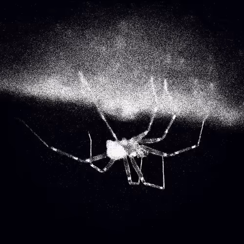 Item #113693328873351964272418761095266344949241101728224431866017542486606336753665 Media