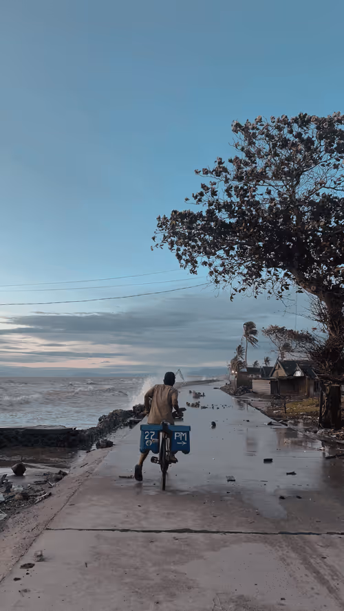 Item #96196539023591084910612092193533286076019618757175332640844223258262379692033 Media