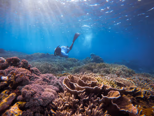 77639041975894886609071233097545712090510044969555444171952761931095376658433