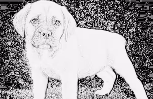 Item #23143313246472061328071561115701105421589606567298838424350448147838057578497 Media