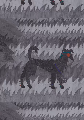 54265023149315807548353305835462115280107802016011024608173740214429591535617