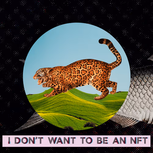 Item #3530187889540553224700552633621350802399192504372702264799301431646872403969 Media