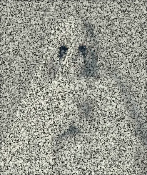 Item #56333673514850380001144804291315926606203872113458638794136457189605127487489 Media