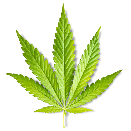 Item #62305347939500447446741691610944179166047826251548263202105894864806588983056 Media