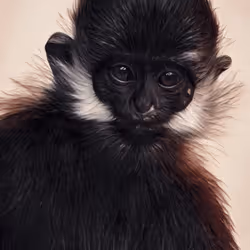 34642077332131208007519050687242423492836830929204914454855370876693159870465