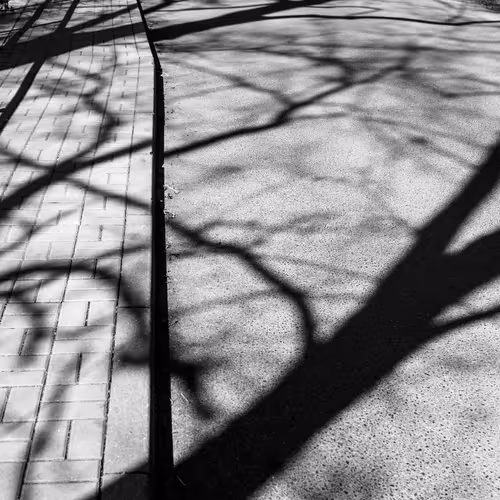 Untitled Collection #3663471844