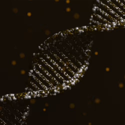 113395677080381858456097698969021148731173449515476865940740430445460200620033