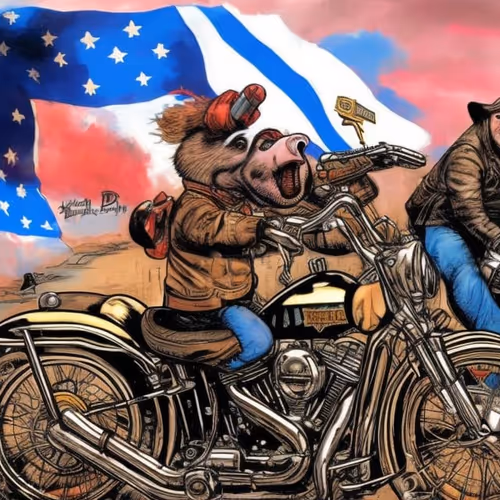 Item #23647464929778315466460978353877304600511561263333353160550806316908074237953 Media