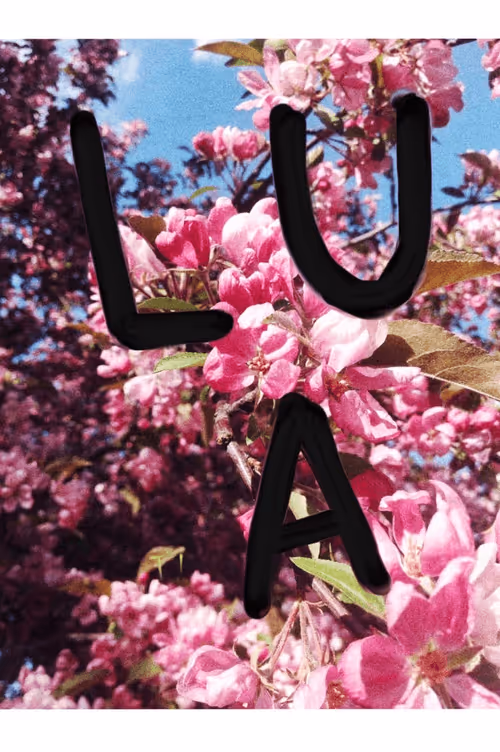 Item #68011333796241471938169734834864327952063537811040216461068086944907579621377 Media