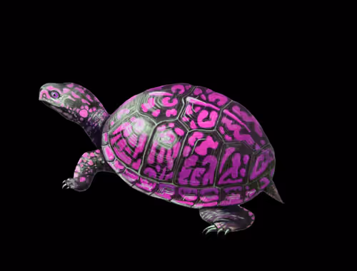 Item #46623402417646879308353596173636630178895824236728347706261571644643990306817 Media