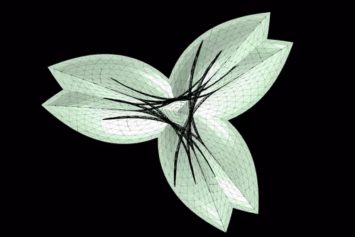 Item #5136403534341406989691152363603842551382927147962438361259489031627888132097 Media