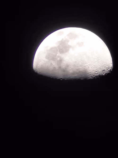 Item #78774018974347764357765192518377150739749637856503949941232678352302888714241 Media