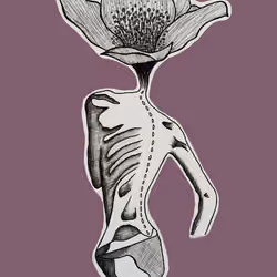 Anorexia Hermosa