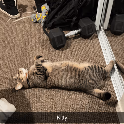 Untitled Collection #33950213