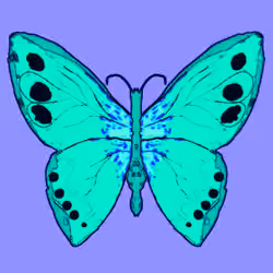 Butterfly #13