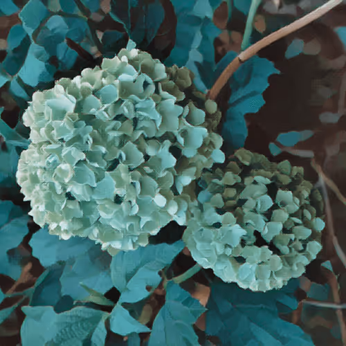 Item #43190579806433981010774040212734353374582811192863113586455236123204677271553 Media