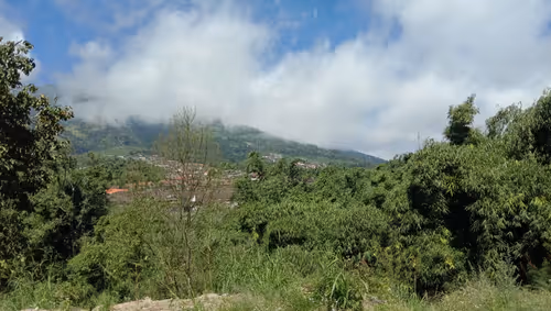 Item #111656158034307518471123911429226470304430778957481106264410992927644244246529 Media