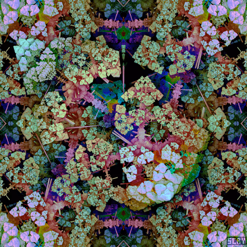 Item #78024336334863053079376686568768157550881486550781440177589673853615161213028 Media