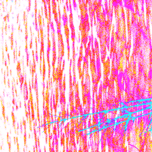 Item #99203483512848353909024344858735951586722830162690734143511382415195391393793 Media