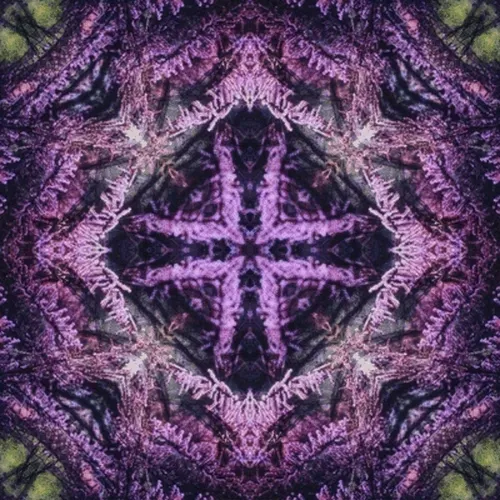 Item #33273431064062745158281459223994481396408298461003960329838769685434950746117 Media