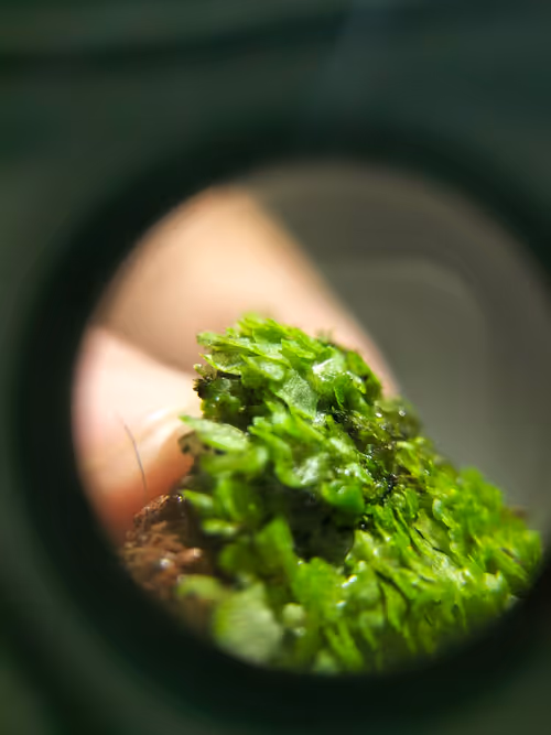 Item #12499860690887257293727532681291822536045842218714555575181684157168952016897 Media