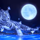 Tiger within the Moon
