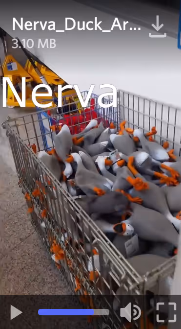 Item #54107281724380640327979247134989909355457220824807257975980335859520549945345 Media