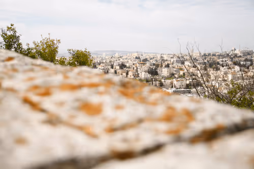 Item #75910940865497505828175027712835434878511904351959988832947875647384088215652 Media