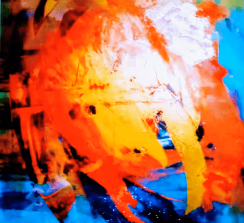 Item #50313157872173577496971624167939776617266702773475144700563858007531632721921 Media